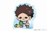 ハイキュー!! mochocho Vol.3 アクリルミニブロック 岩泉一
 
2025年07月下旬発売
で取扱中