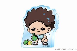 ハイキュー!! mochocho Vol.3 アクリルミニブロック 岩泉一
 
2025年07月下旬発売
で取扱中