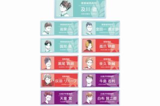 ハイキュー!! トレーディング Ani-Art 第1弾 アクリルネームプレート ver.B【アニメイト特典付】
 
2024年09月発売