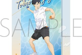 ハイキュー!!  クリアファイル/影山【再販】
 アニメイトで
2025年6月20日発売