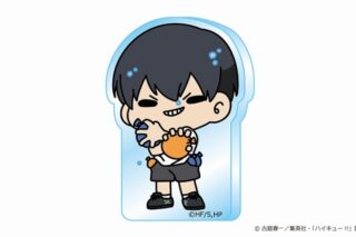 ハイキュー!! mochocho Vol.3 アクリルミニブロック 影山飛雄
 アニメイトで
2025年07月下旬発売