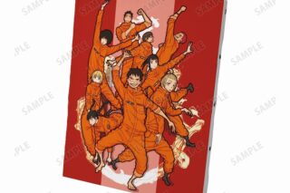漫画炎炎ノ消防隊 第8特殊消防隊 キャンバスボード ver.B
 
2024年1月27日発売