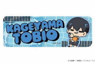 ハイキュー!! mochocho Vol.3 ロングレザーバッジ 影山飛雄
 
2025年07月下旬発売
で取扱中