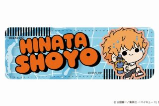 ハイキュー!! mochocho Vol.3 ロングレザーバッジ 日向翔陽
 アニメイトで
2025年07月下旬発売