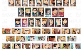 ハイキュー!! スナップマイド【再販】
 アニメイトで
2025年06月発売