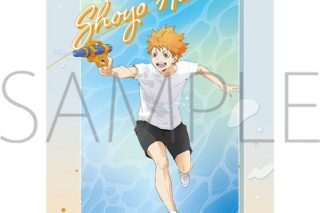 ハイキュー!!  クリアファイル/日向【再販】
 アニメイトで
2025年6月20日発売