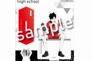 ハイキュー!! break time アクリルスタンドプレート 黒尾鉄朗
 
2025年06月発売
で取扱中