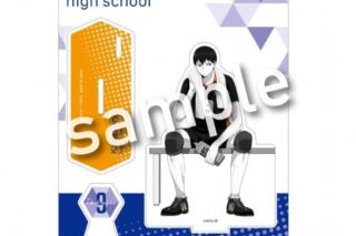 ハイキュー!! break time アクリルスタンドプレート 影山飛雄
 
2025年06月発売
で取扱中