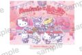 サンリオキャラクターズ ポストカード付 アクリルスタンド【まねきねこコラボ】
 
2024年11月発売