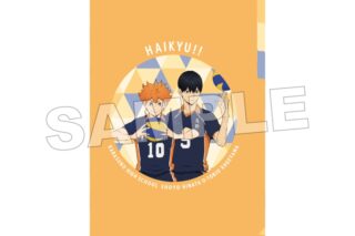 ハイキュー!! A4ポケットクリアファイル 烏野高校(日向・影山)
 アニメイトで
2025年07月発売