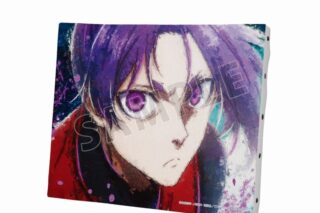 TVアニメ『ブルーロック』 御影 玲王 grunge CANVAS キャンバスボード
 
2024年12月17日発売
で取扱中