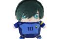 [アニメイト]ブルーロック2期 まめめいと(ぬいぐるみマスコット)/第四弾 糸師 凛
 
2025年6月27日発売