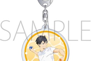 ハイキュー!! アクリルキーホルダー/A 影山飛雄
 
2025年6月20日発売
で取扱中