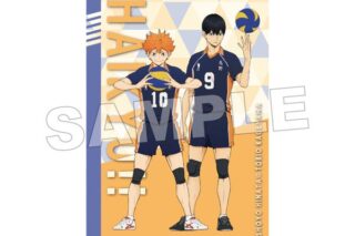 ハイキュー!! A5綴じノート 烏野高校(日向・影山) キャラアニで
                                                2025年7月発売