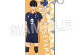 ハイキュー!! PVCポーチ パターンアート 影山飛雄 キャラアニで
                                                2025年8月発売