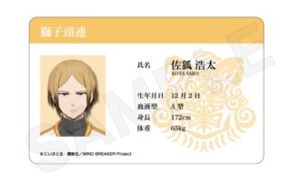 ウィンドブレイカー (ウィンブレ) 学生証風カードvol.3 佐狐浩太
 
2025年04月発売