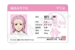 ウィンドブレイカー (ウィンブレ) 学生証風カードvol.2 桐生三輝
 
2025年04月発売