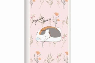 夏目友人帳 ニャンコ先生 ACモバイルバッテリー ピンク
 
2023年04月発売
で取扱中 (アニメイト)