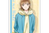 アオのハコ  ダイカットステッカー 鹿野千夏 
2025年07月中旬発売