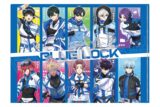 [アニメイト]ブルーロック A4シングルクリアファイル 集合/サイバーパンク リバイバル
 
2025年04月発売
