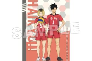 ハイキュー!! A5綴じノート 音駒高校(黒尾・孤爪)
 
2025年07月発売