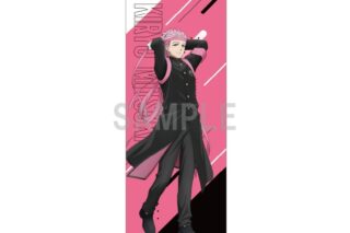 ウィンドブレイカー (ウィンブレ) スリムタペストリー 桐生 三輝 応援団ver
 
2025年06月発売