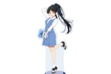 ラブライブ!スーパースター!! BIGアクリルスタンド16/葉月 恋(描き下ろしイラスト)
 
2025年07月発売