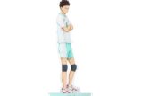 ハイキュー!!  つながるアクリルスタンド 【青葉城西高校,伊達工業高校】岩泉一
 アニメイトで
2025年03月発売