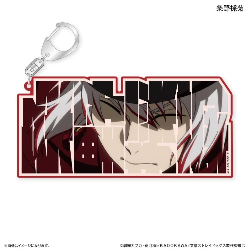 文豪ストレイドッグス (文スト) 特大ネームアクリルキーホルダー 条野採菊
 
2025年03月下旬発売
で取扱中