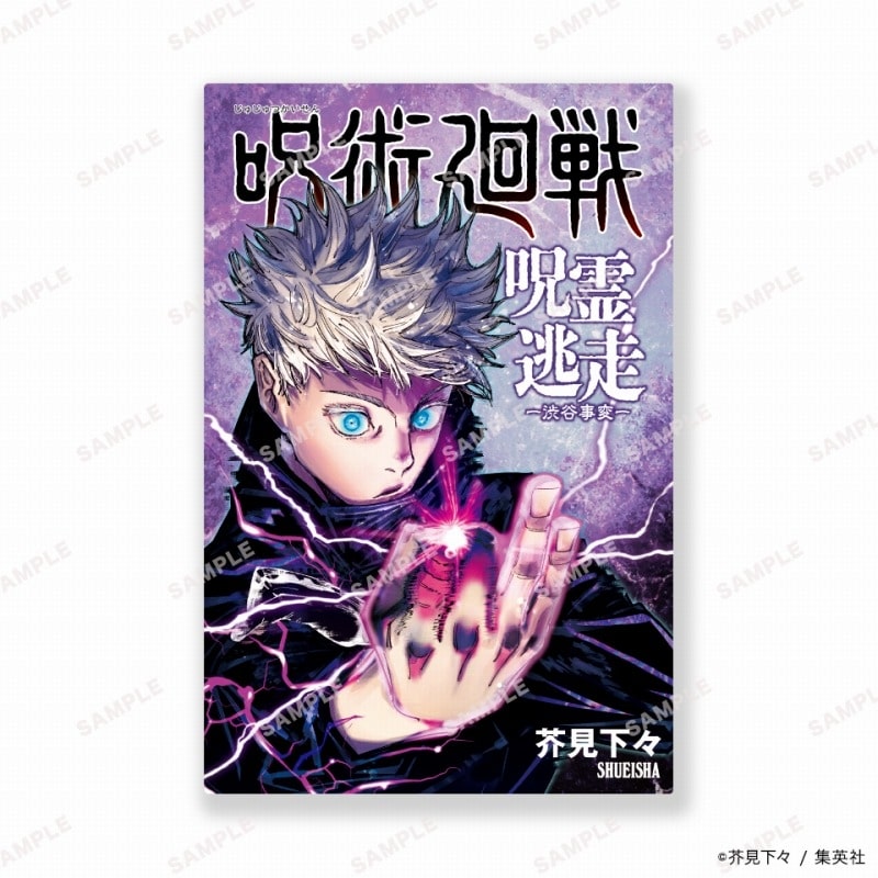 [アニメイト]呪術廻戦 呪霊逃走 -渋谷事変-
 
2024年5月23日発売