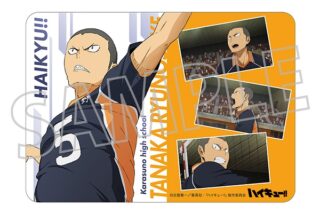 ハイキュー!! マウスパッド/田中龍之介
 
2025年6月27日発売