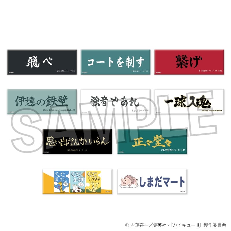 ハイキュ―!! トレーディングロング缶バッジ 横断幕BOX
 
2025年04月発売
で取扱中