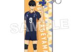ハイキュー!! PVCポーチ パターンアート(影山飛雄)
 
2025年08月発売