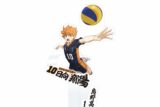 『劇場版ハイキュー!!ゴミ捨て場の決戦』 えくすた(日向翔陽)
 アニメイトで
2024年12月中旬発売