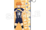 ハイキュー!! PVCポーチ パターンアート(日向翔陽)
 
2025年08月発売