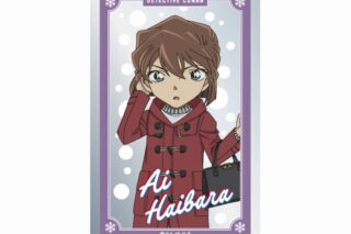 名探偵コナン アクリルカード 灰原哀 vol.7
 
2025年08月発売