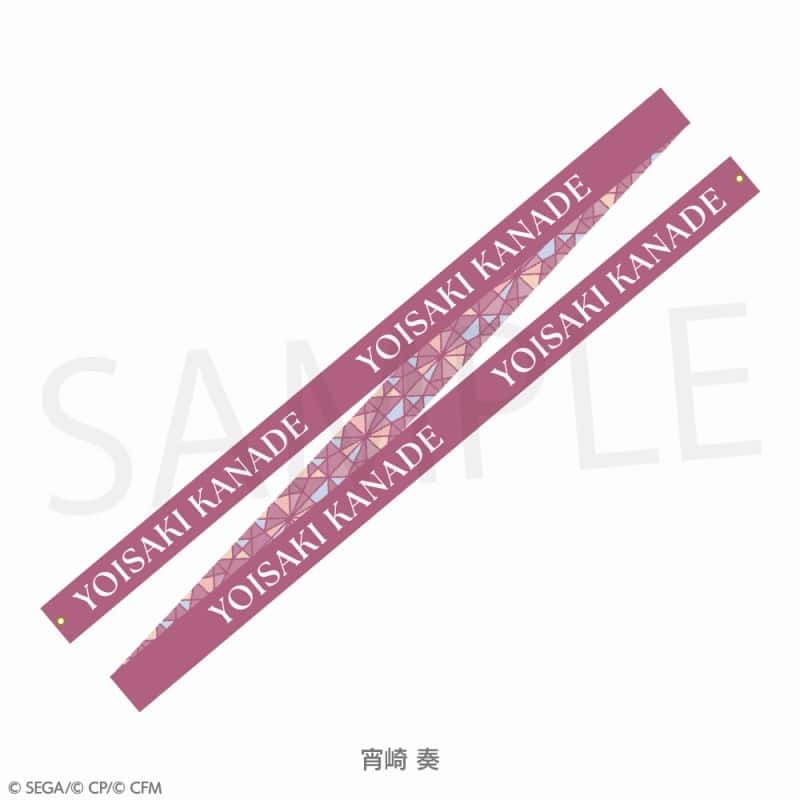 プロセカ プロジェクトセカイ COLORFUL LIVE 4th – Unison – パーカーカスタムリボン 宵崎 奏
 
2025年2月10日発売