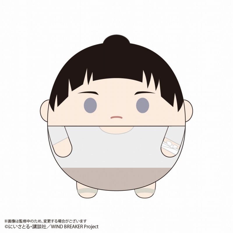 ウィンドブレイカー (ウィンブレ) ふわコロりんBIG3F:硯 秀平
 
2025年08月発売