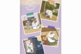 夏目友人帳 描き下ろしイラスト 集合C ニャンコ先生の1日ver. 1ポケットパスケース【再販】
 
2025年7月27日発売
で取扱中 (アニメイト)
