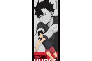 ハイキュー!! BIGタペストリー 黒尾鉄朗 ～レシーブ～
 
2025年08月下旬発売