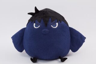 ハイキュー!! クッション BLU カゲガラス【Palude】
 
2025年02月発売
で取扱中