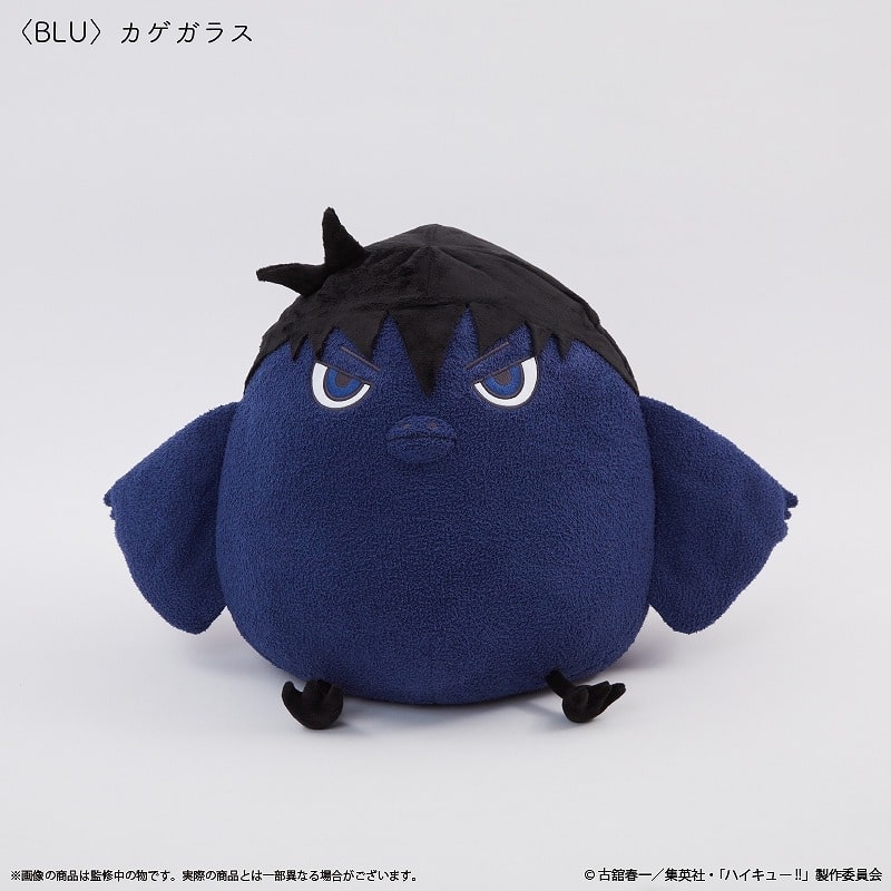 ハイキュー!! クッション BLU カゲガラス【Palude】
 
2025年02月発売
で取扱中