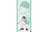 ハイキュー!! BIGタペストリー 及川 徹 ～レシーブ～
 アニメイトで
2025年08月下旬発売