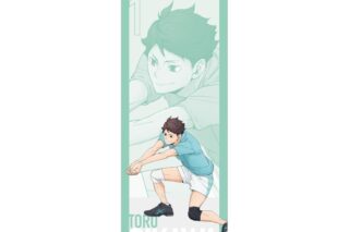 ハイキュー!! BIGタペストリー 及川 徹 ～レシーブ～
 アニメイトで
2025年08月下旬発売