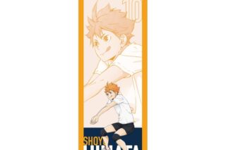 ハイキュー!! BIGタペストリー 日向翔陽 ～レシーブ～
 アニメイトで
2025年08月下旬発売
