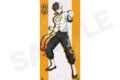 ウィンドブレイカー (ウィンブレ) B2半裁タペストリー 五獣ver. 桜遥
 
2025年05月発売