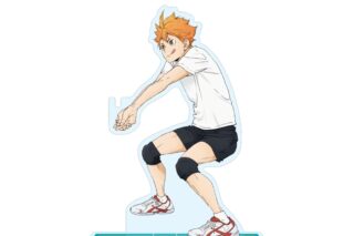 ハイキュー!! ストラップスタンド 日向翔陽 ～レシーブ～
 
2025年08月下旬発売