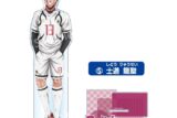[アニメイト]ブルーロック ビッグアクリルスタンド士道龍聖
 
2025年03月発売