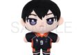 ハイキュー!! ぬいパル(ぬいぐるみ)/影山飛雄【再販】
 アニメイトで
2025年9月5日発売