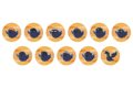 ハイキュー!! トレーディング動物マスコット缶バッジ カラスノガラスver.【全11種】
 
2024年10月18日発売
で取扱中